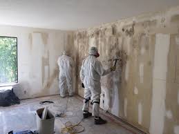 Asbestos and Lead Testing During Mold Inspection in Mondovi, WI